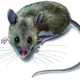 Illustration for article titled Így vált belőlem vérengző vadállat